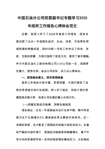 中国石油分公司党委副书记专题学习2025年政府工作报告心得体会范文