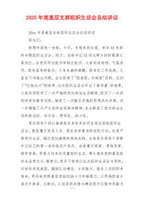 2025年度基层支部组织生活会总结讲话
