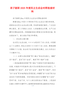 班子副职2025年度民主生活会对照检查材料