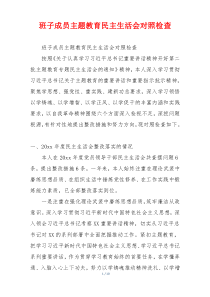 班子成员主题教育民主生活会对照检查