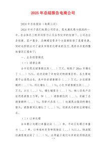 2025年总结报告电商公司
