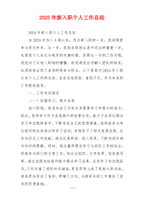 2025年新入职个人工作总结