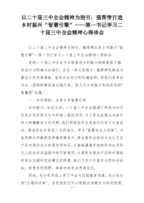 以二十届三中全会精神为指引，强帮带打造乡村振兴“智慧引擎”——第一书记学习二十届三中全会精神心得体会