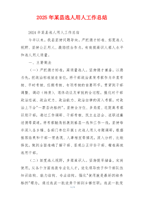 2025年某县选人用人工作总结