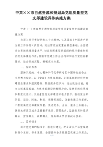 中共××市自然资源和规划局党组质量型党支部建设具体实施方案