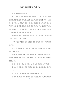 2025年公司工作计划