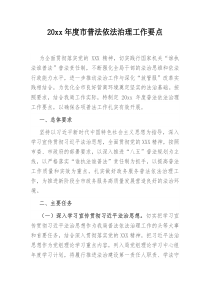 20XX年度市普法依法治理工作要点