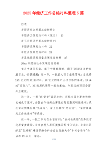 2025年经济工作总结材料整理5篇