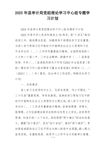 2025年县审计局党组理论学习中心组专题学习计划