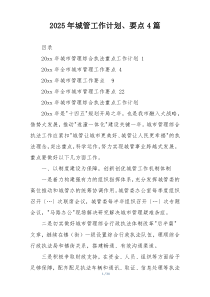 2025年城管工作计划、要点4篇