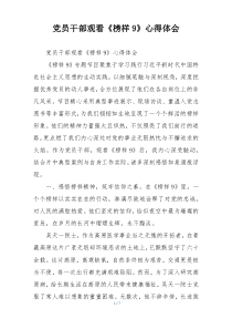 党员干部观看《榜样9》心得体会