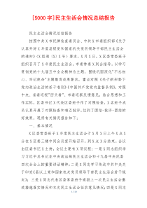 [5000字]民主生活会情况总结报告