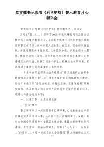 党支部书记观看《利剑护航》警示教育片心得体会