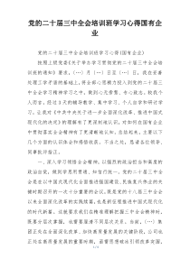 党的二十届三中全会培训班学习心得国有企业