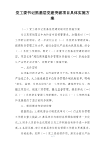 党工委书记抓基层党建突破项目具体实施方案