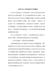 公司20XX年安全生产工作要点