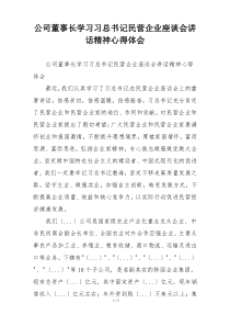 公司董事长学习习总书记民营企业座谈会讲话精神心得体会