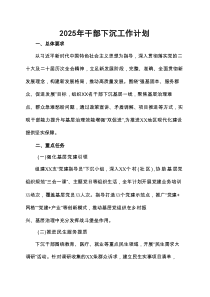 2025年干部下沉工作计划