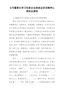 公司董事长学习民营企业座谈会讲话精神心得体会感悟