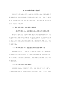 县20XX年党建工作要点