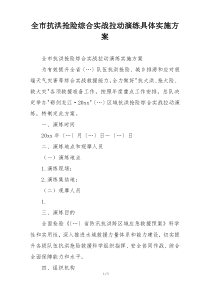 全市抗洪抢险综合实战拉动演练具体实施方案