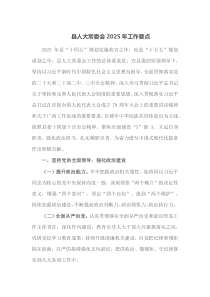 县人大常委会2025年工作要点
