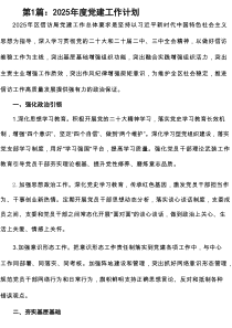 2025年度党建工作计划(精选13篇资料)