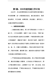 2025年度党建工作计划10篇专题资料