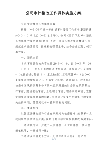公司审计整改工作具体实施方案