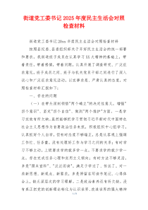 街道党工委书记2025年度民主生活会对照检查材料