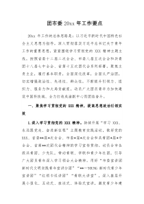 团市委20XX年工作要点