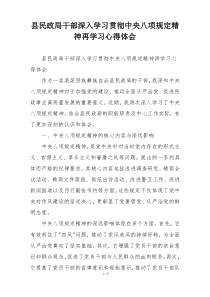 县民政局干部深入学习贯彻中央八项规定精神再学习心得体会