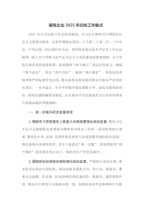 国有企业2025年纪检工作要点