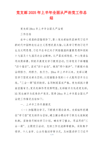 党支部2025年上半年全面从严治党工作总结