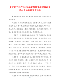 党支部书记在2025年度基层党组织组织生活会上的总结发言政协