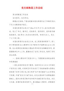 党支部换届工作总结