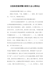 反面典型案例警示教育大会心得体会