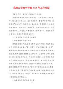 党政办公室审计室2025年工作总结