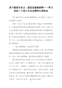 四个维度齐发力，基层党建焕新辉——学习党的二十届三中全会精神心得体会