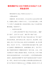 镇党委副书记2025年度民主生活会个人对照检查材料