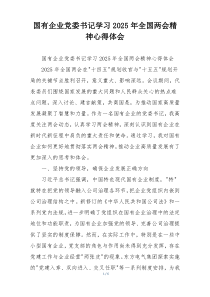 国有企业党委书记学习2025年全国两会精神心得体会