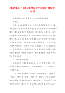 镇党委班子2025年度民主生活会对照检查材料