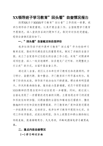 2025年”回头看”自查情况报告资料合集