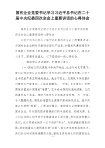 国有企业党委书记学习习近平总书记在二十届中央纪委四次全会上重要讲话的心得体会