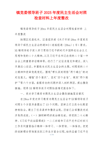 镇党委领导班子2025年度民主生活会对照检查材料上年度整改