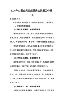 2025年党组织委员会换届工作报告（国企篇）