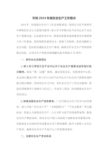 市局20XX年度安全生产工作要点