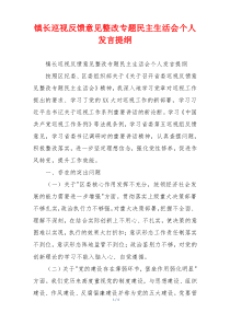 镇长巡视反馈意见整改专题民主生活会个人发言提纲