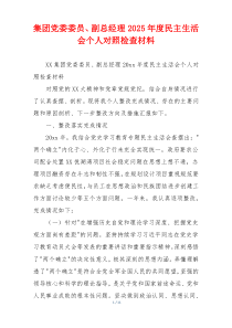 集团党委委员、副总经理2025年度民主生活会个人对照检查材料