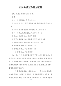 2025年度工作计划汇篇